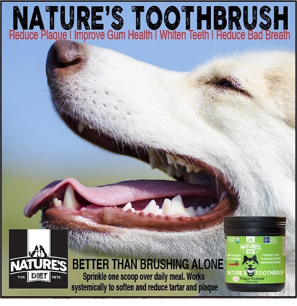 Nature's Diet Toothbrush Systemic Plaque Remover Dry Dog Food Topping， 14.8-oz jar