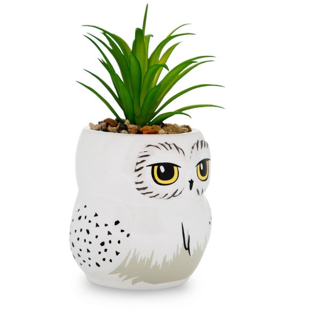 Silver Buffalo Harry Potter Hedwig 3-inch Ceramic Mini Planter With Artificial Succulent