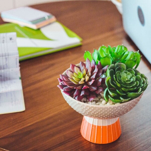 Artificial Plant Succulent Mix in Two Tone Bowl Ceramic Planter