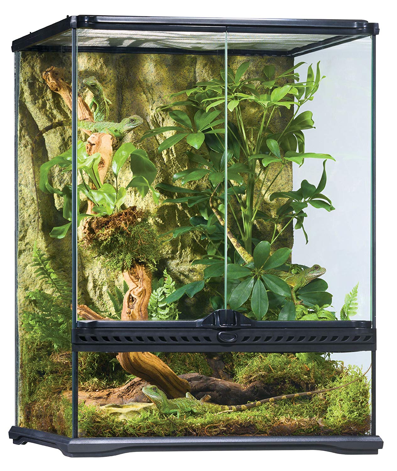 Exo Terra Rainforest Habitat Kit (Medium Glass Terrarium 18x18x24)