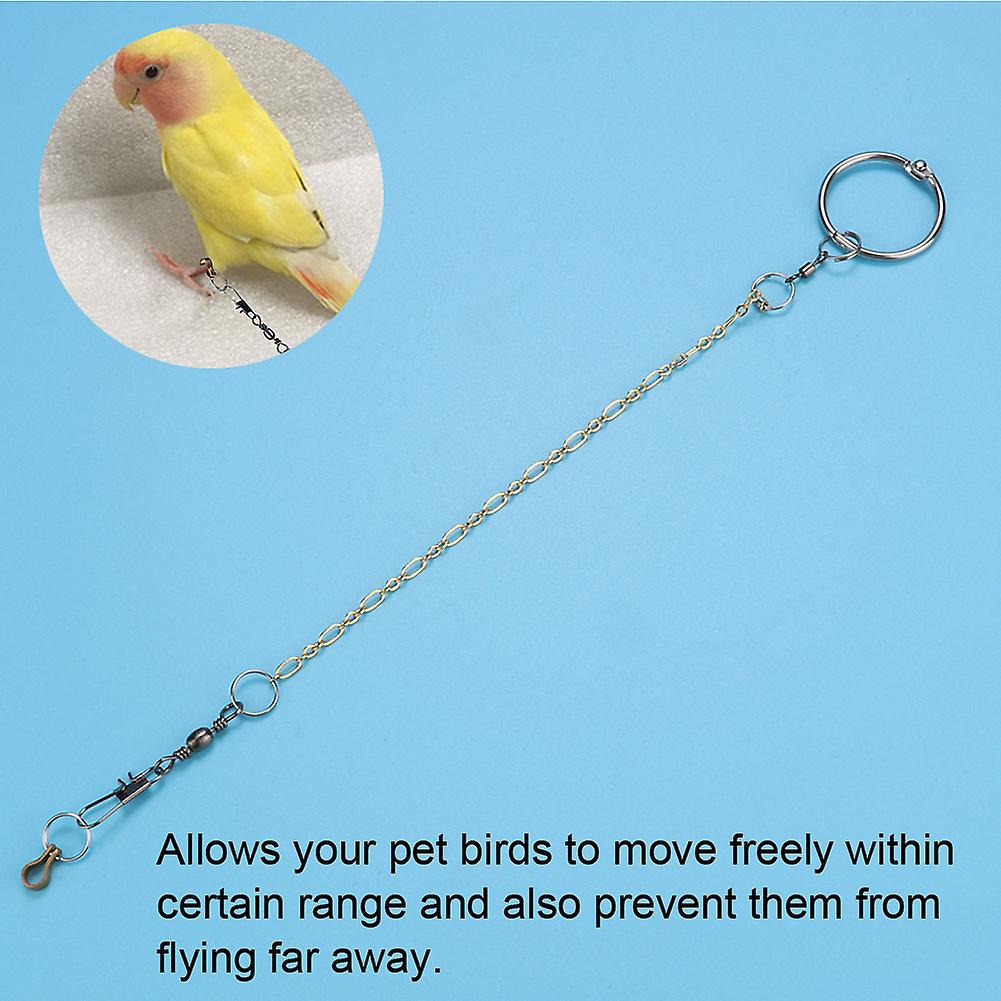 Stainless Steel Pet Birds Parrot Foot Chain Anklet Training Harness (agapornis)