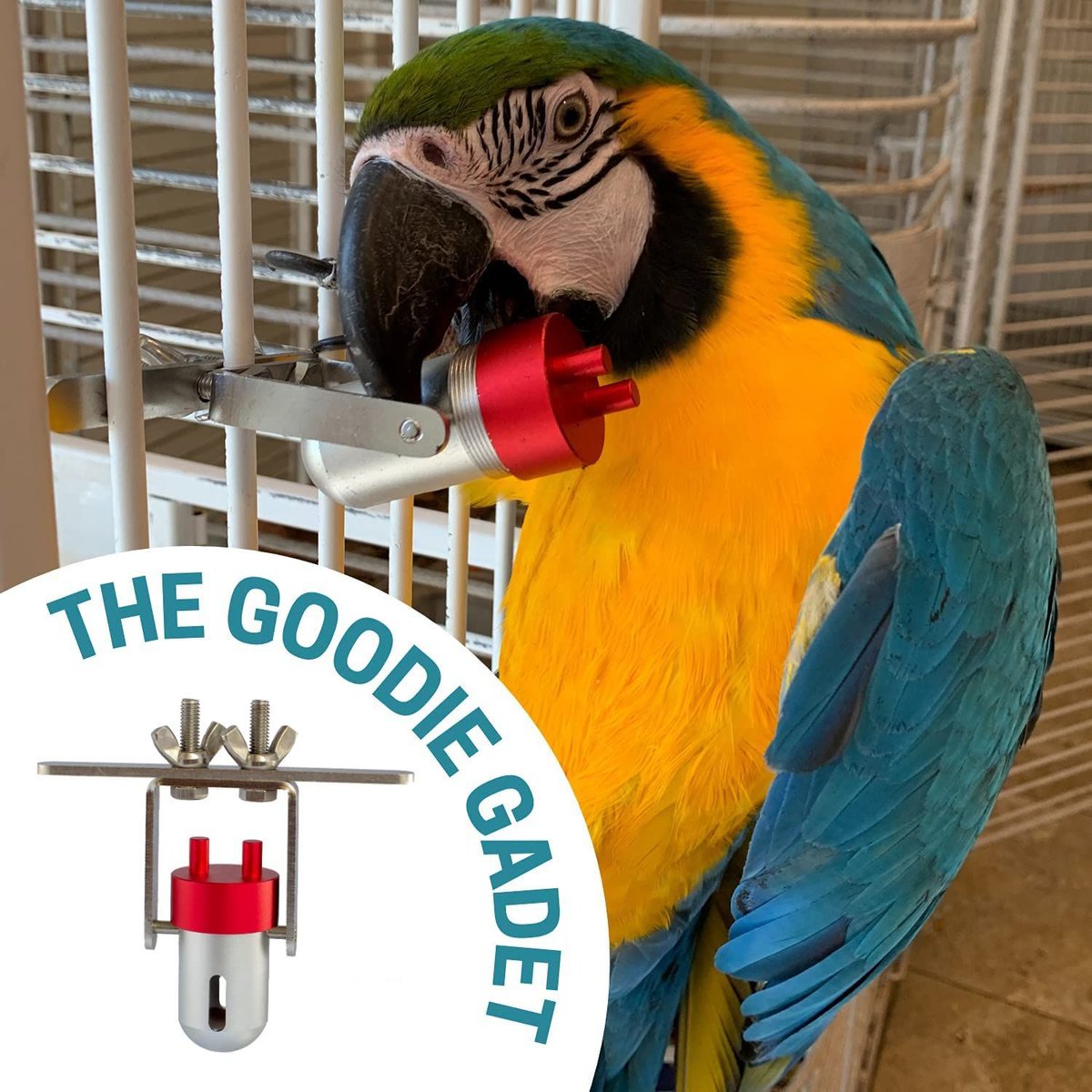 Busy Bird Goodie Gadget Bird Toy