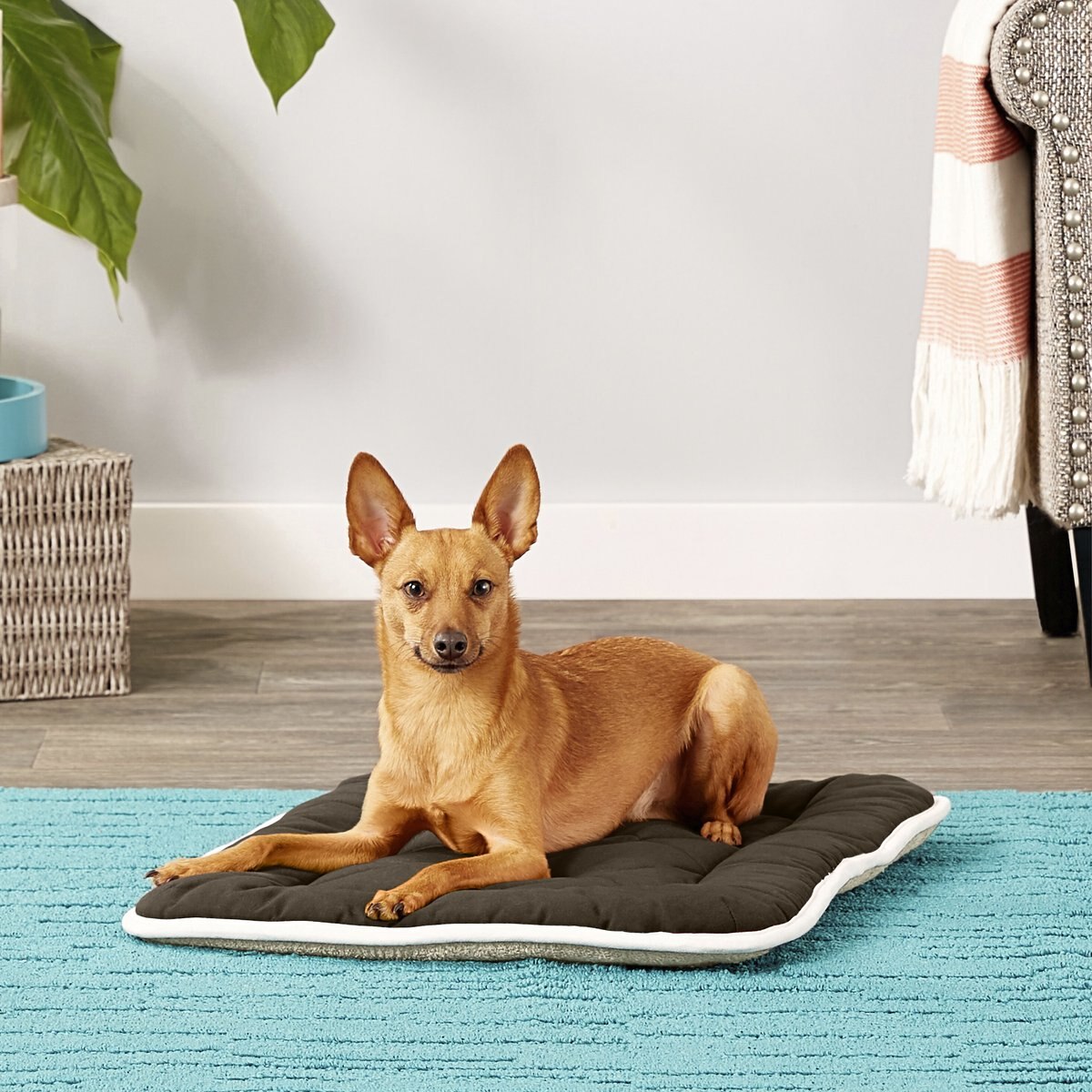 Dog Gone Smart Sleeper Cushion Dog Crate Mat