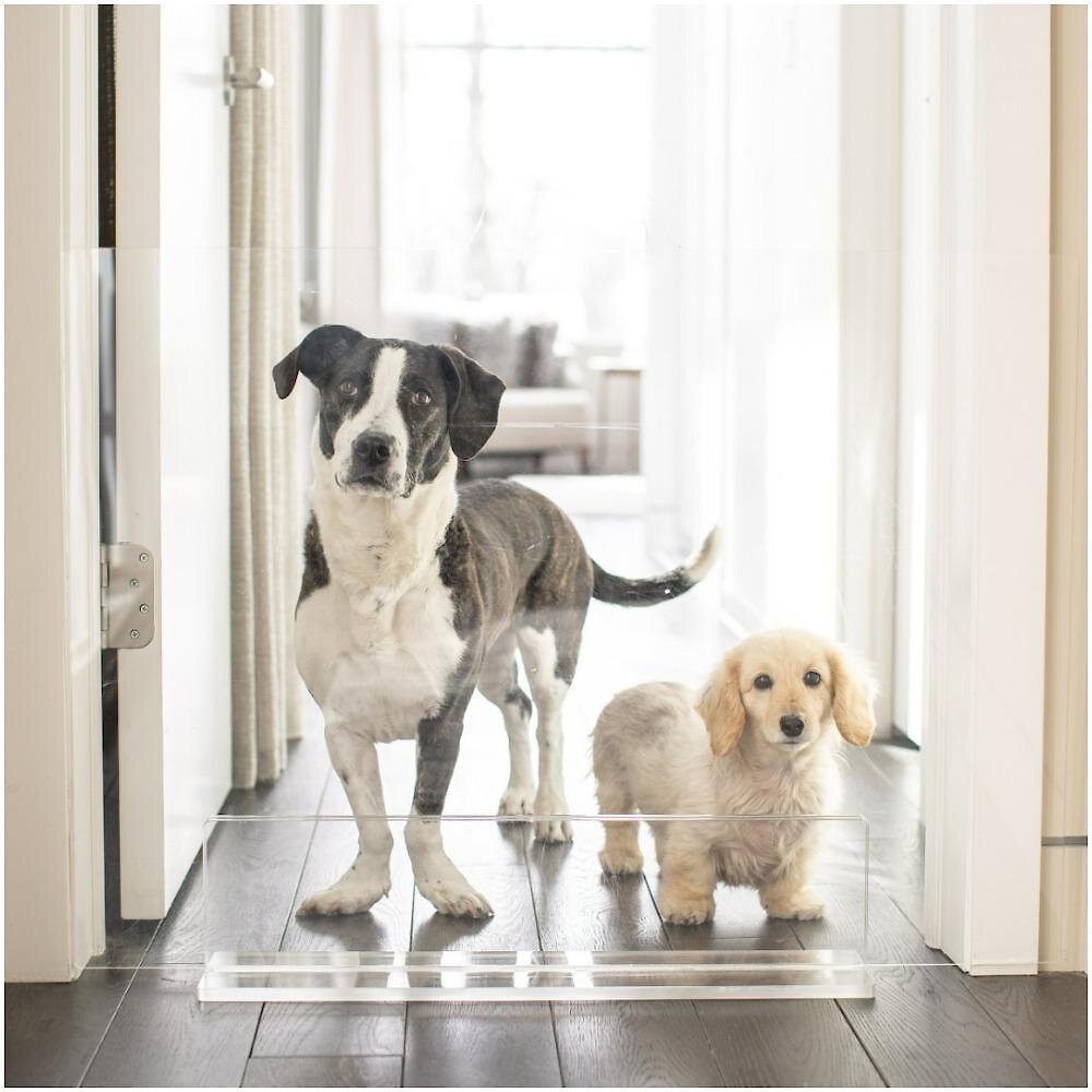 Hiddin Clear View Panel Freestanding Dog Gate