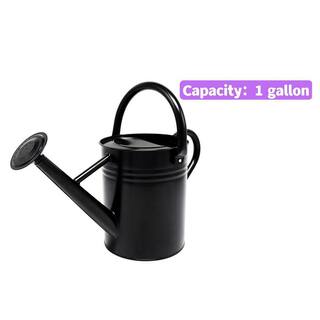 Dyiom 1 Gal. Black Metal Plant Watering Can with Handles Galvanized Steel Watering Pot B09GVGFDKH