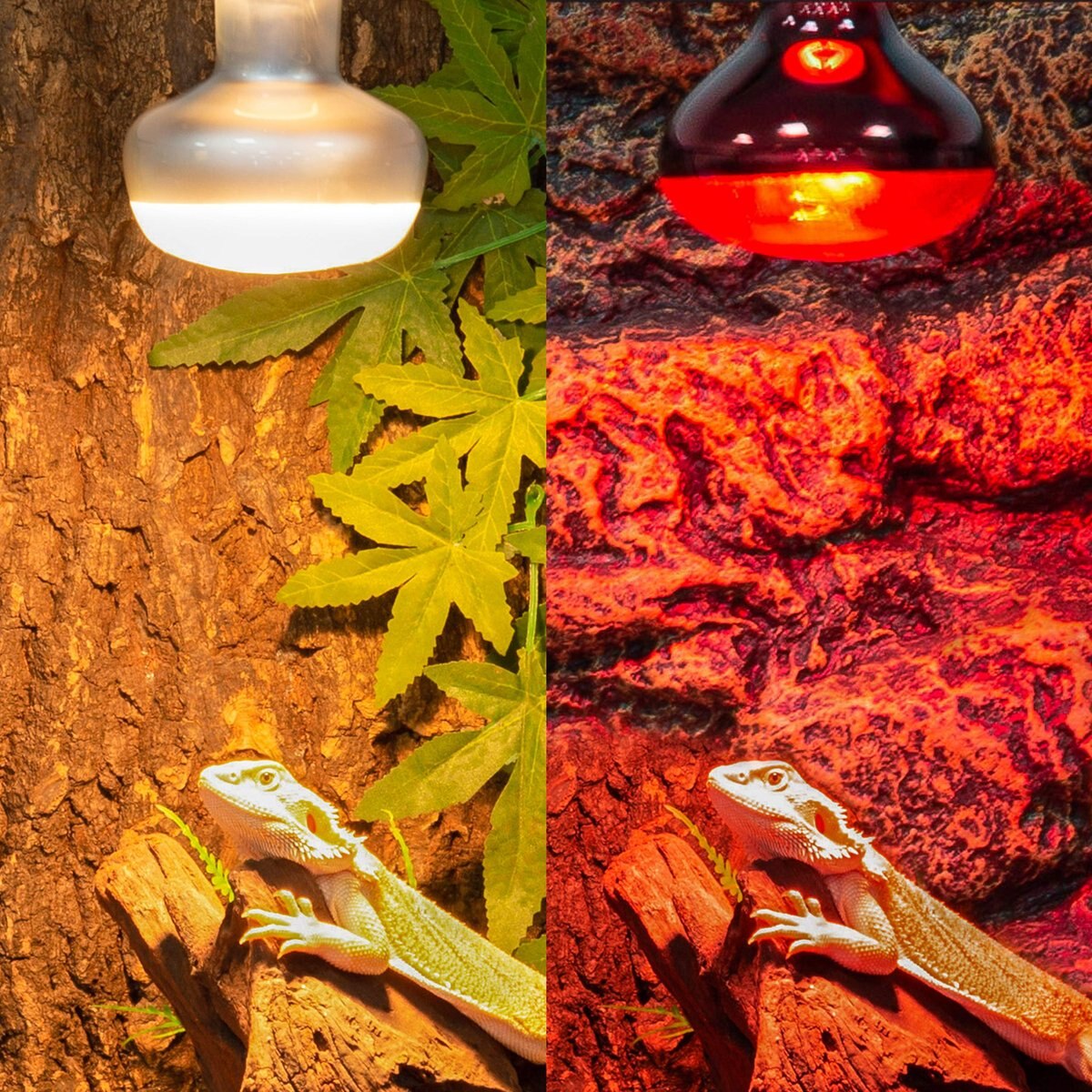 REPTI ZOO Basking Spot Lamp and Nocturnal Infrared Heat Lamp-75W Reptile Bulb， Multicolor， 4 count