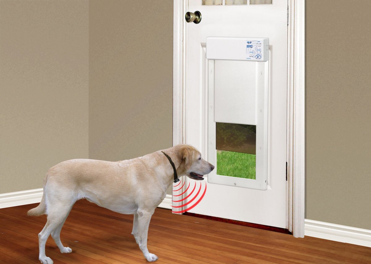 High Tech Pet Products PX-2 Power Pet Fully Automatic Pet Door