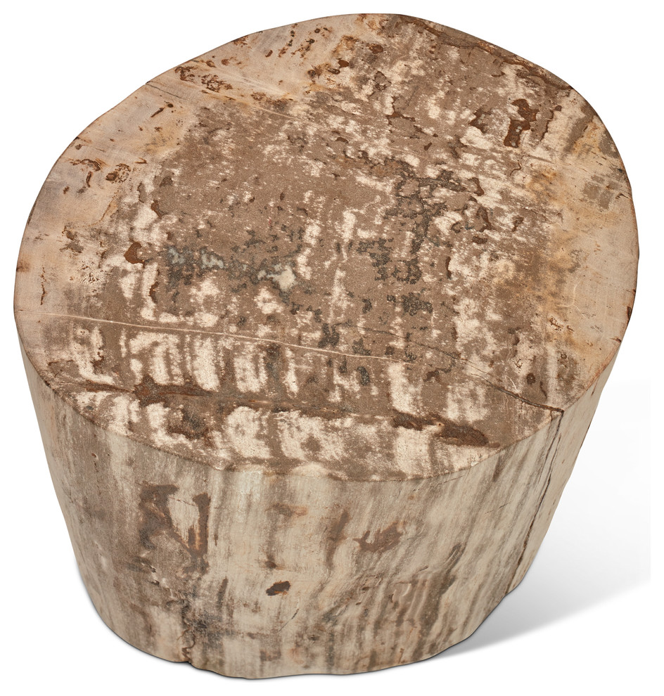 Relique Petrified Wood Stump  Fully Polished  Natural Light   Rustic   Side Tables And End Tables   by Urbia  Houzz