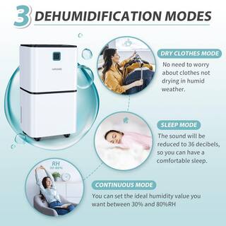 Edendirect 30 pt. 2000 sq.ft. Dehumidifier in White for Room and Basement with Auto Defrost and Timer ZJOLRY23061402