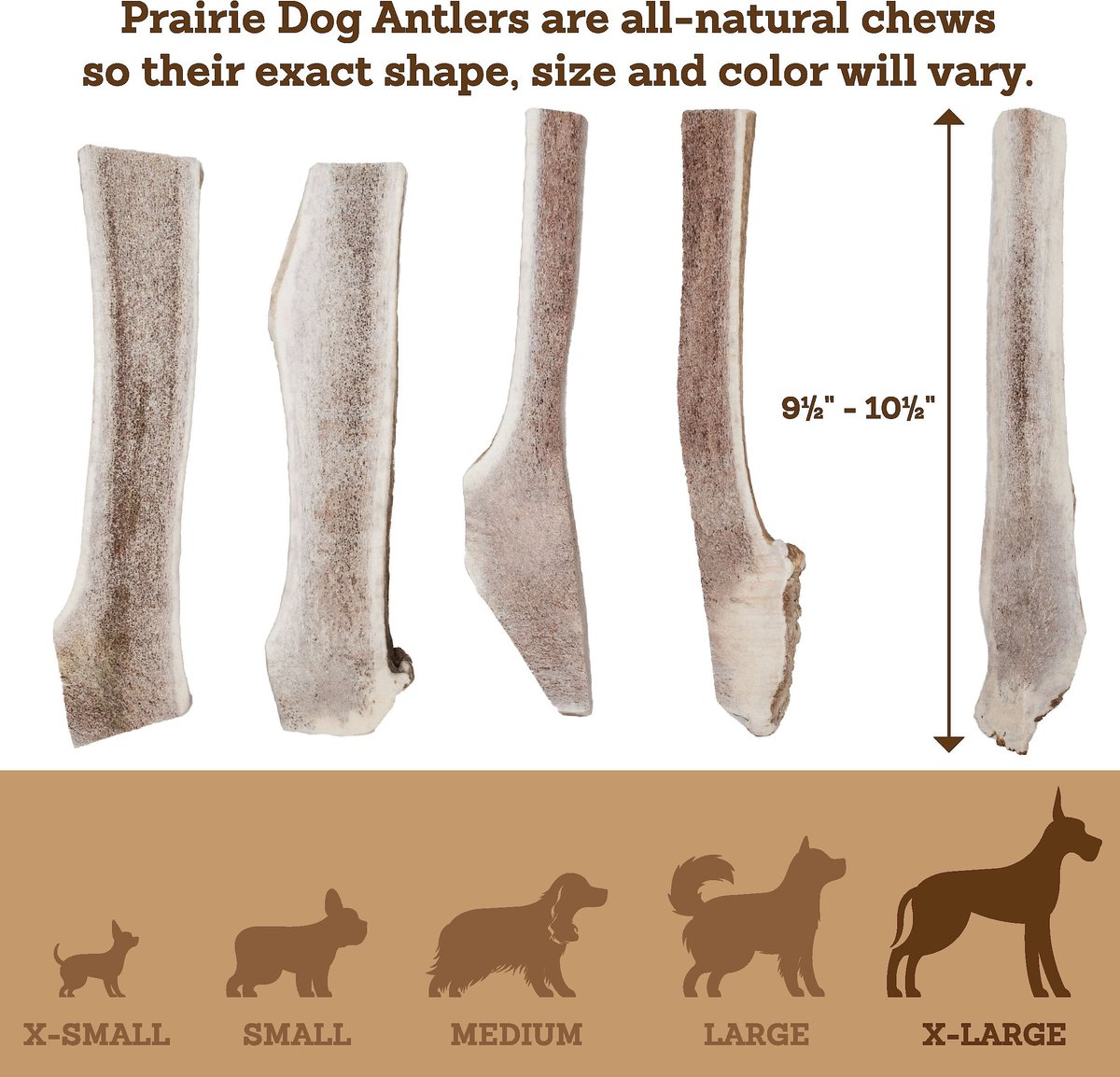 Prairie Dog Split Elk Antler Dog Chews， 9.5 - 10.5 inch