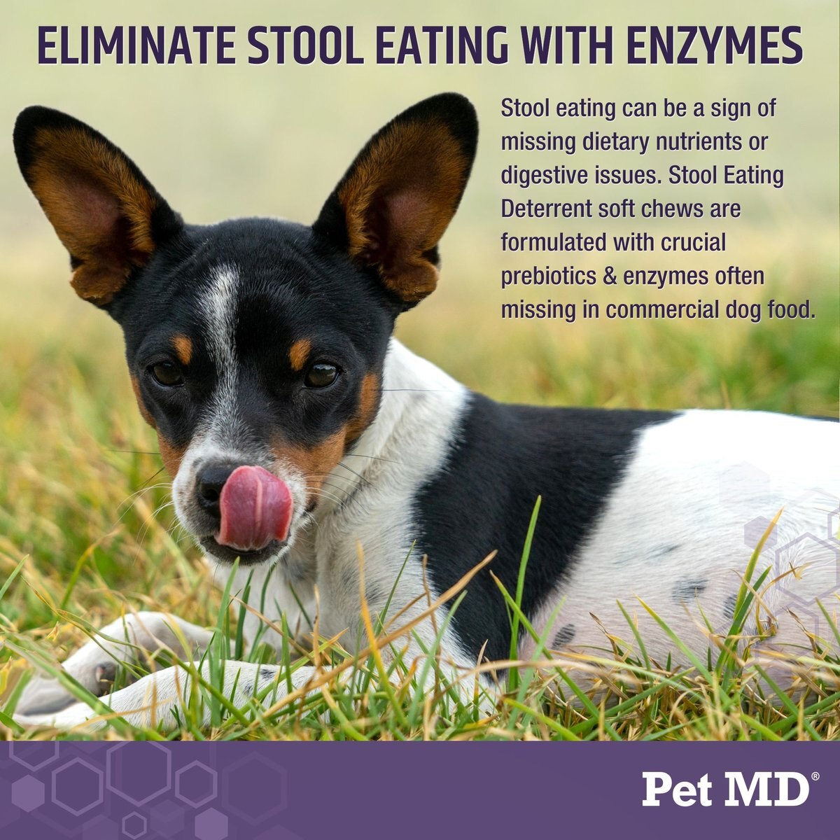 Pet MD Stool Eating Deterrent Dog Supplement， 60 count