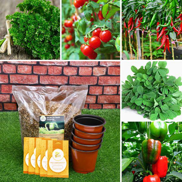 5 Best Seeds to Grow Organic Vegetables, Herbs - Kitchen Garden Pack