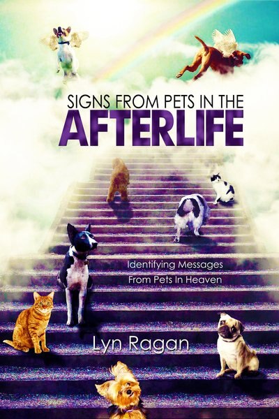 Signs From Pets In The Afterlife