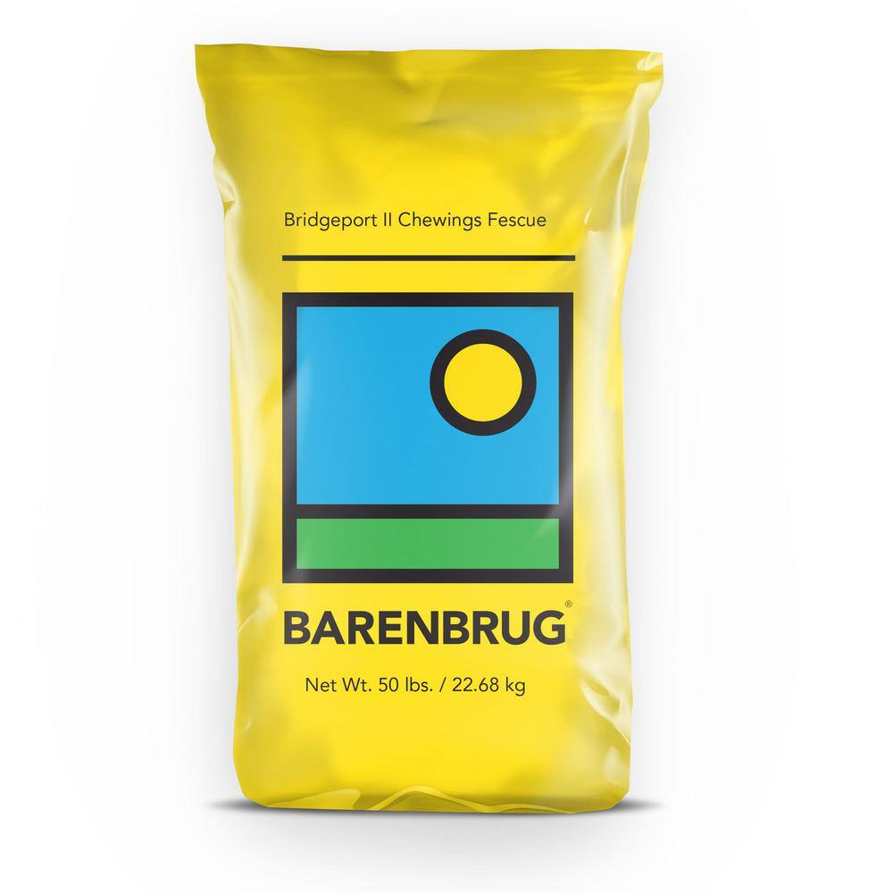 Barenbrug 50 lb. Bridgeport II Chewing Fescue Grass Seed 25077