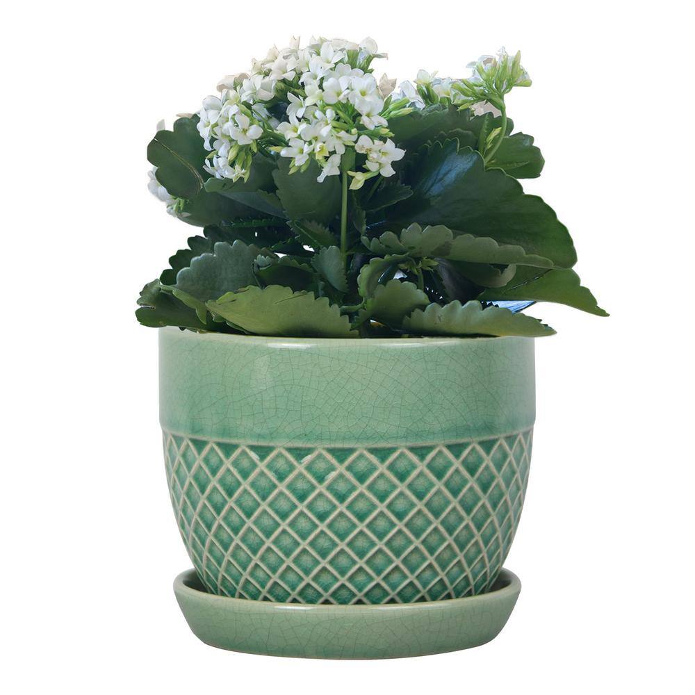 Trendspot 6 in. Mint Acorn Ceramic Planter CR10732S-060G