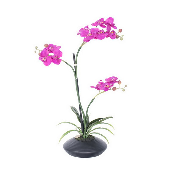 Vickerman 25 Potted Orchid fls x 2