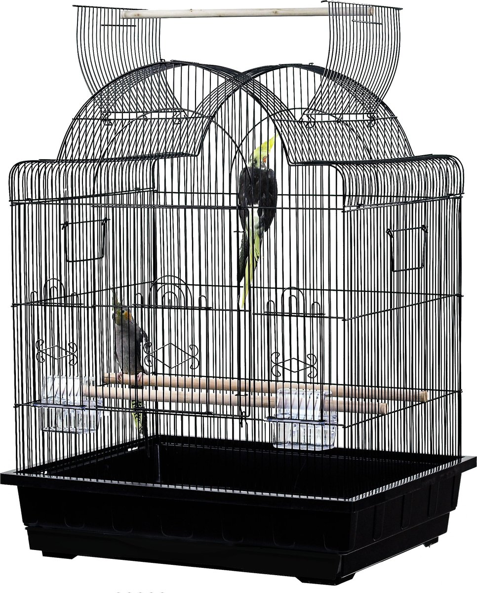 AandE Cage Company 32-in Victorian Open Top Bird Cage， Black， Medium