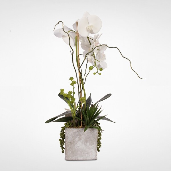 Real Touch White Orchid w/Seashell and Succulents in a Stone Wash Pot