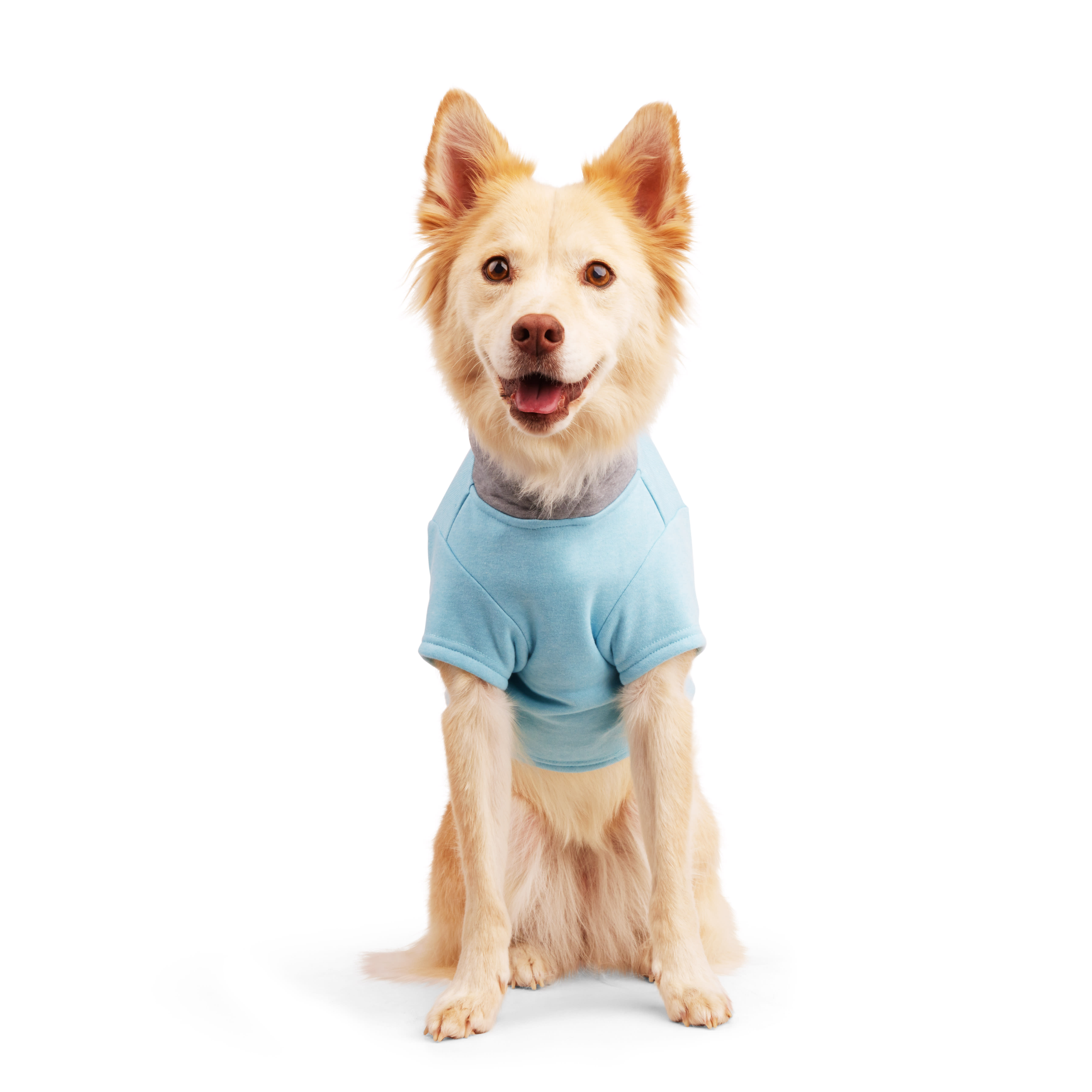 YOULY Baby Blue Pajamas for Dogs， XX-Small