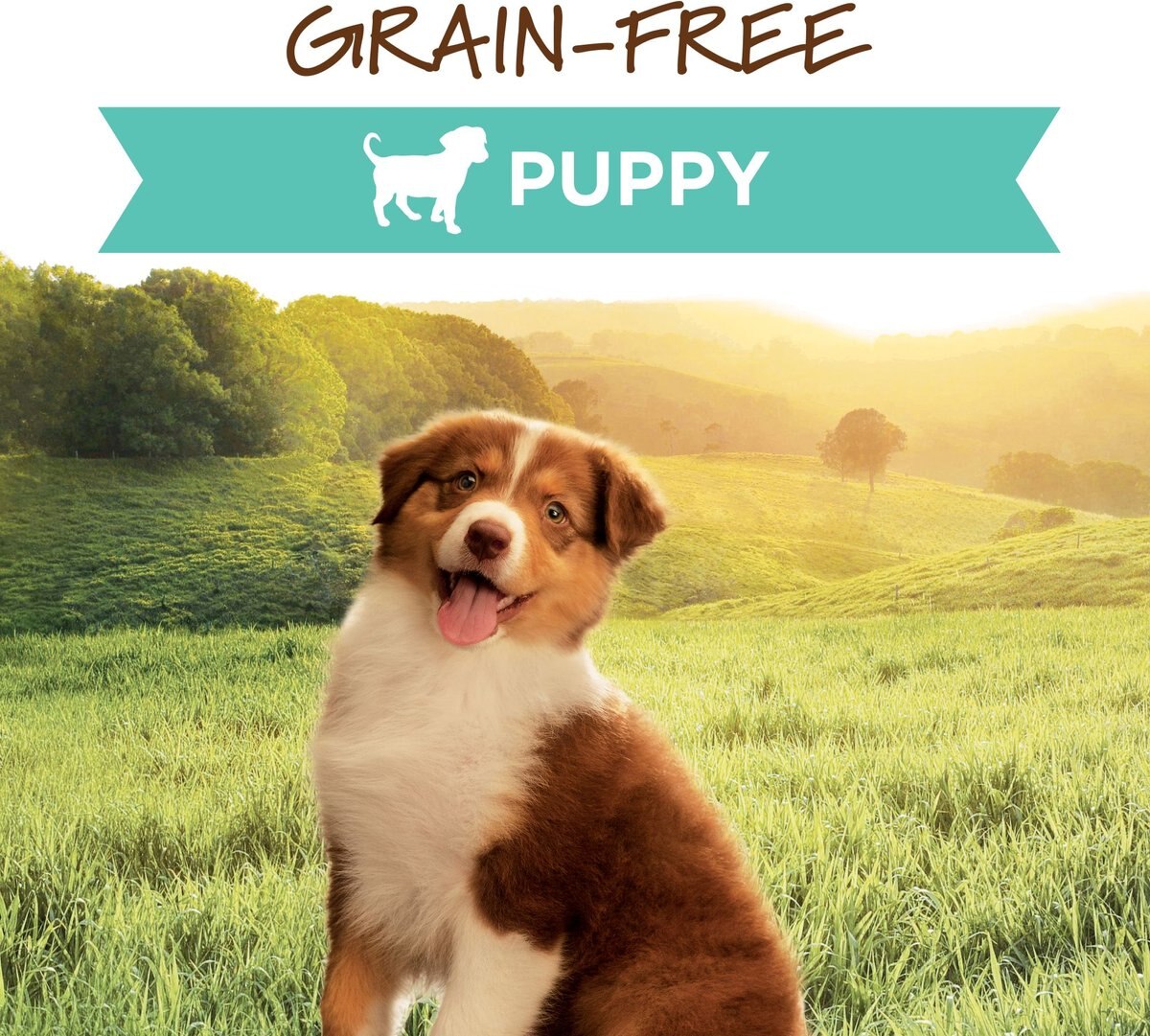 Instinct Original Puppy Grain-Free Real Chicken Recipe Wet Canned Dog Food