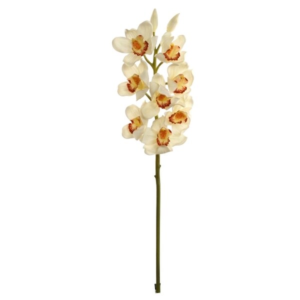 30 Cymbidium Orchid White