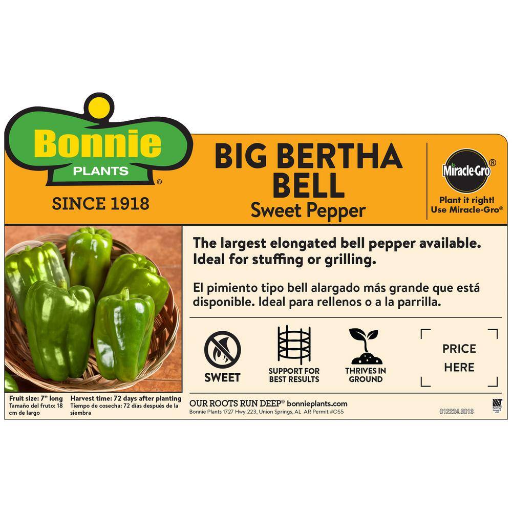 Bonnie Plants 2.32 qt. Big Bertha Bell Pepper Plant 2109