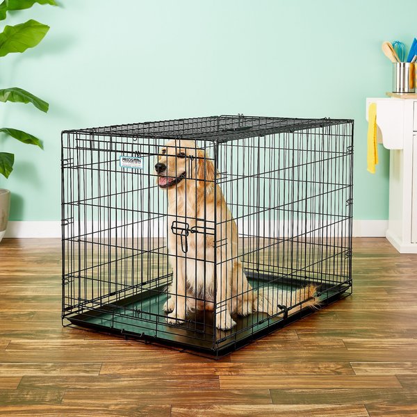 Precision Pet Products Provalu Single Door Collapsible Wire Dog Crate