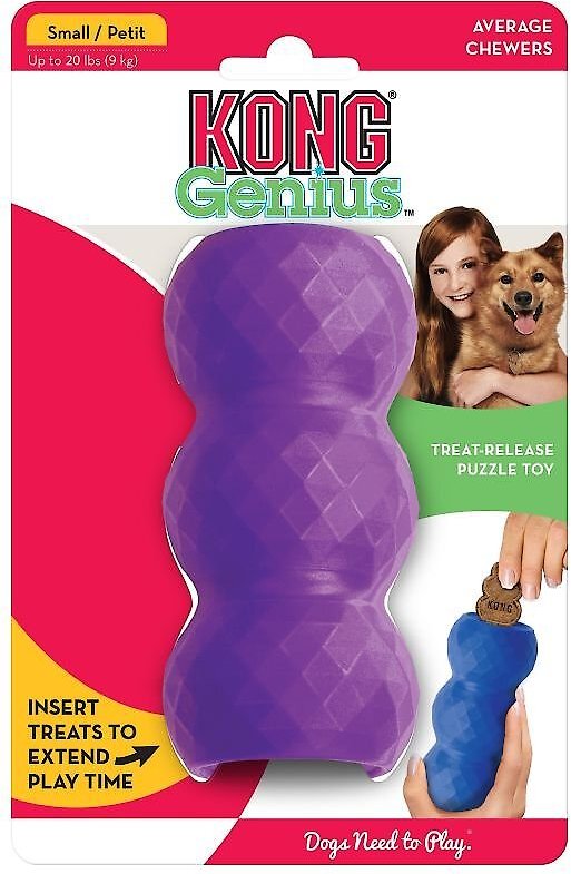 KONG Genius Mike Dog Toy， Color Varies