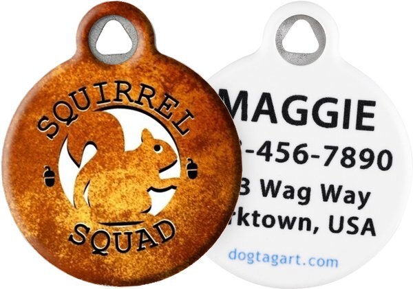 Dog Tag Art Squirrel Squad Personalized Dog and Cat ID Tag