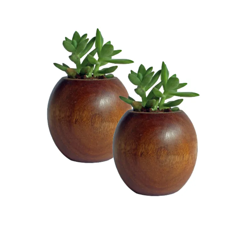 Indoor Decorative Wooden Planter OEM Customized Modern Planter Wood Flower Pots   Planter Supply From India