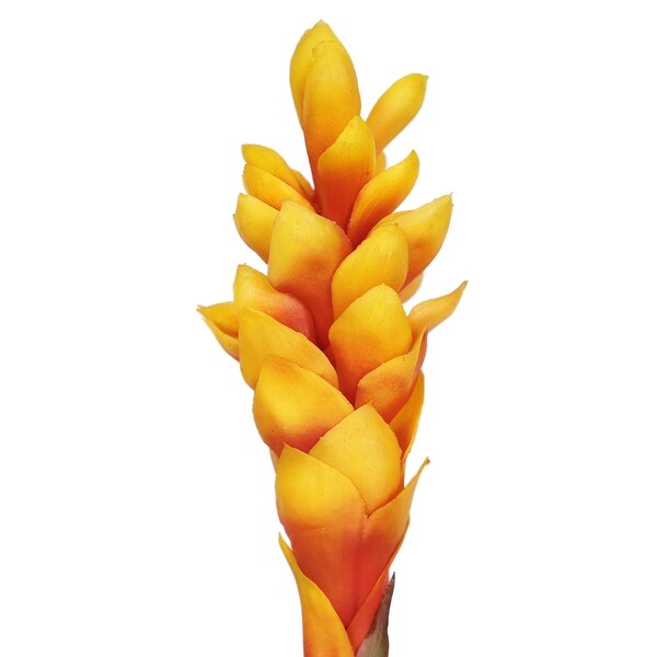 Set of 3 Real Touch Orange Artificial Ginger Flower Stem Tropical Spray 31in