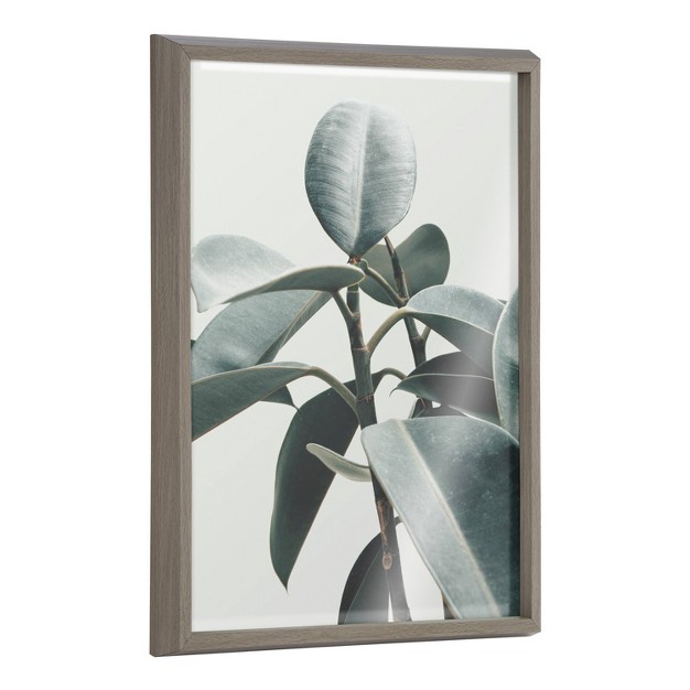 X 24 quot Blake Plant Mom Houseplant By The Creative Bunch Studio Framed Printed Glass Green gray Kate amp Laurel All Things Decor