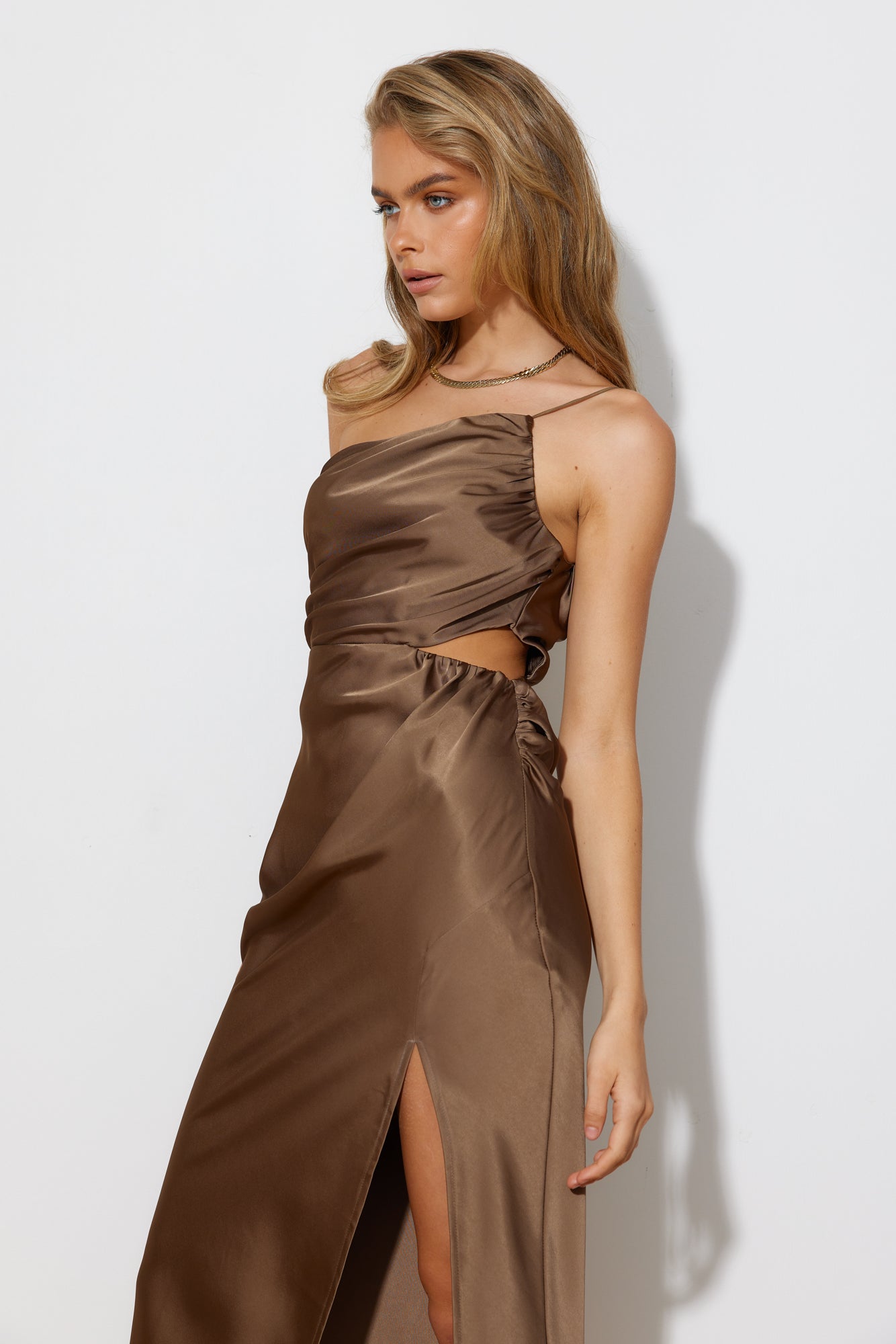 Best Dressed Guest Maxi Dress Brown