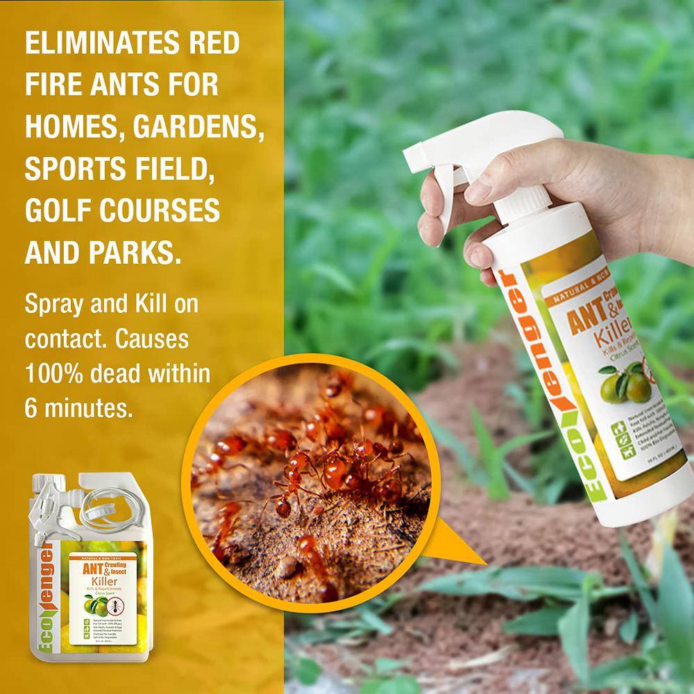 ECOVENGER Ant Insect KillerRepellent by EcoRaider 32OZ Instant Kill 4-Week Deterrence Plant-Based ChildPet-Safe EH1RM50032