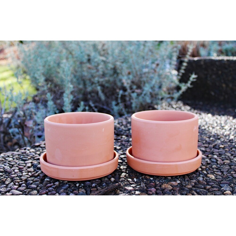 Set of 2 Terracotta Round Fat Walled Garden Planters with Individual Trays  2 SIZES AVILABLE