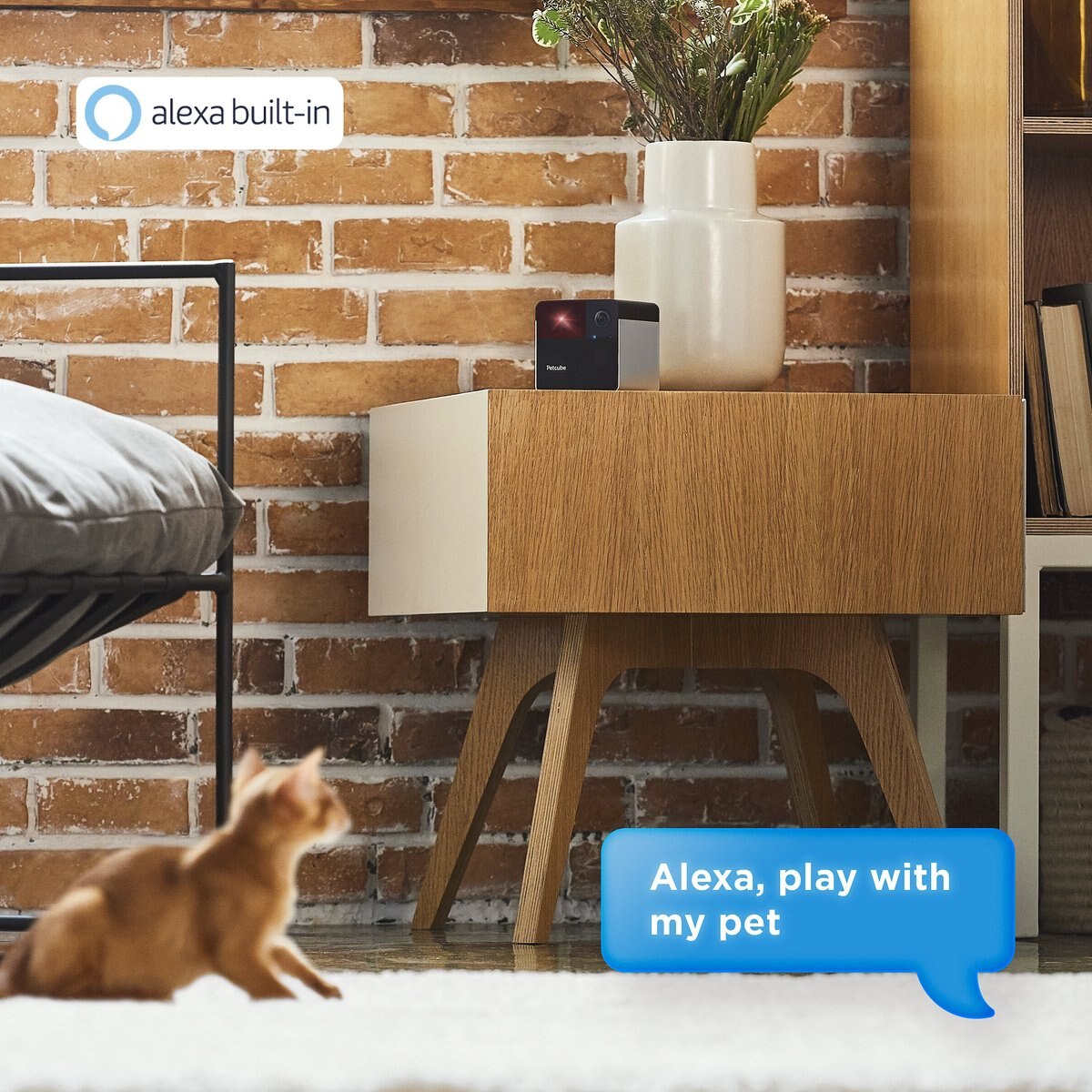 Petcube Play 2 Play Wi-Fi Pet Camera