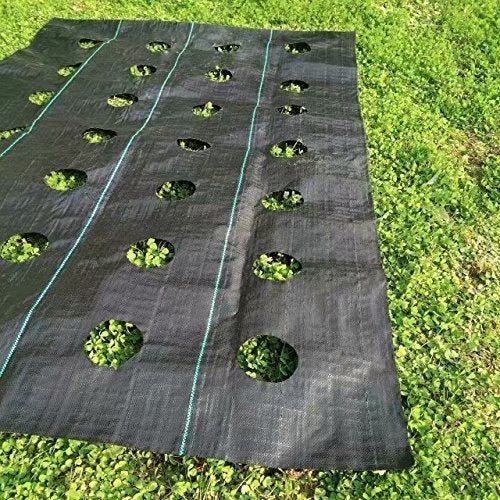 Agfabric Easy-Plant Weed Block for Raised Bed Outdoor Garden Weed Rugs Garden mat 3.0oz, 4'x12',with Planting Hole Dia 6"