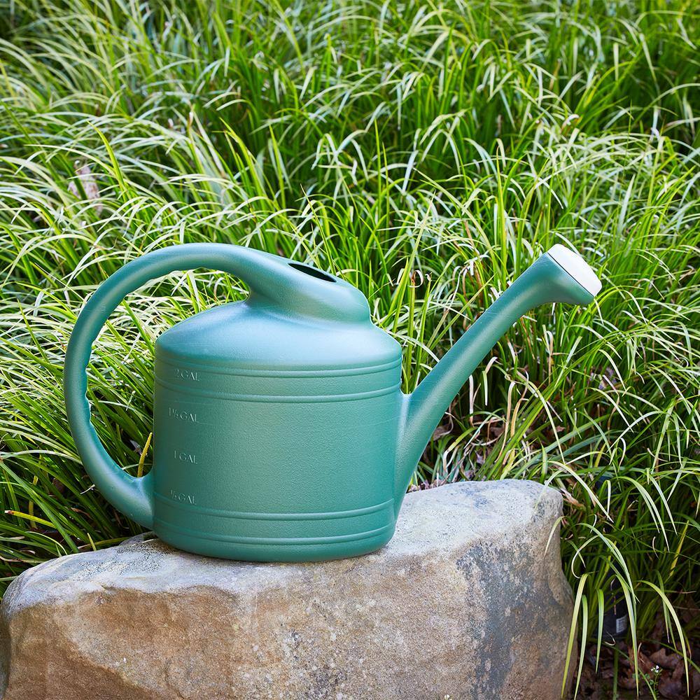 Southern Patio Large 2 Gallon Plastic Rainfall Garden Plant Watering Can Green SPAT-WC8108FE