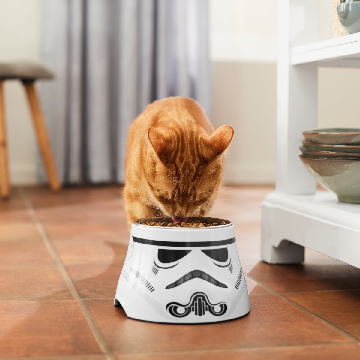 STAR WARS STORMTROOPER Melamine Elevated Stainless Steel Dog and Cat Bowl， 1.5 Cup