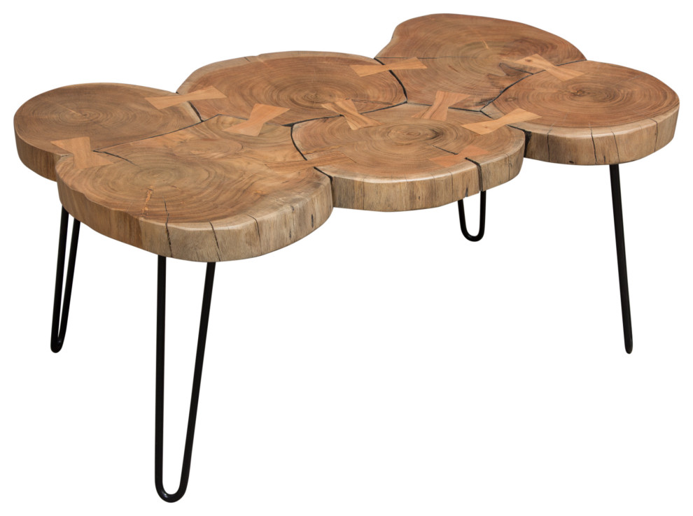 Joss Natural Acacia Live Edge Rectangle Cocktail Table  Black Hairpin Legs   Rustic   Coffee Tables   by Morning Design Group  Inc  Houzz