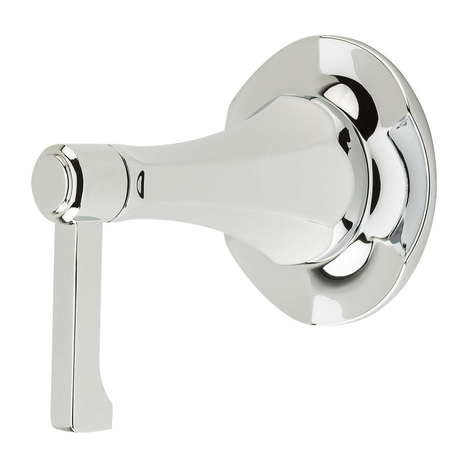 Arterra Diverter Trim in Polished Chrome  Crowdfused