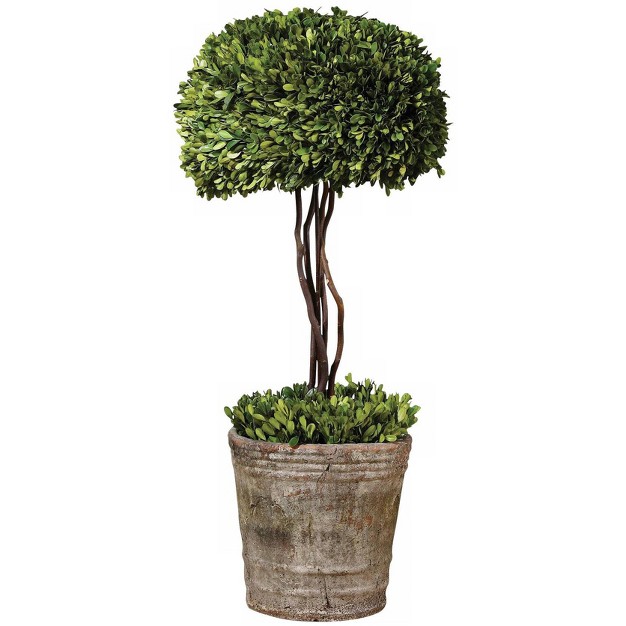 High Preserved Boxwood Tree Topiary