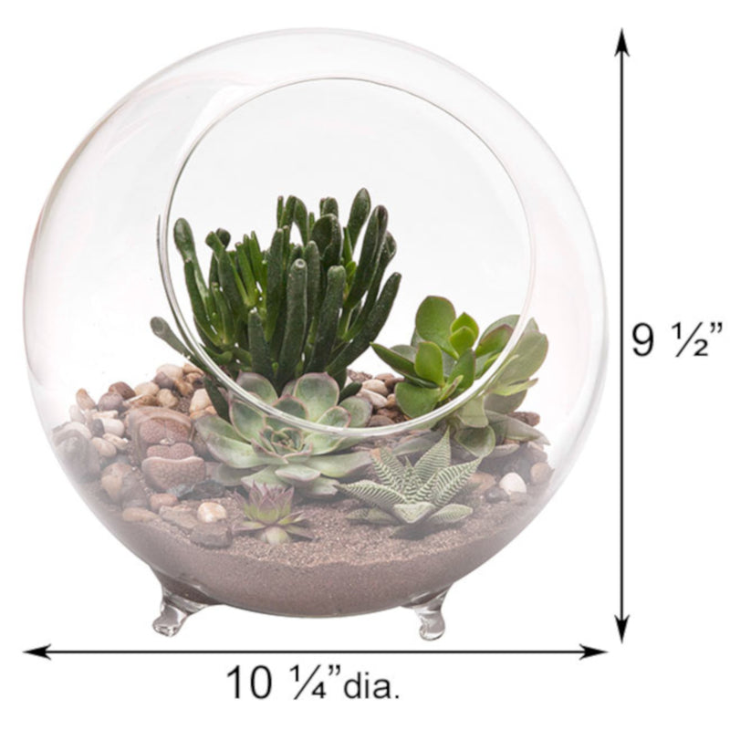 TERRARIUM W/FEET 10.25