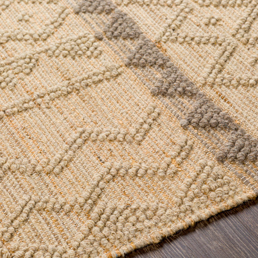 Preston Contemporary Jute Tan Rug