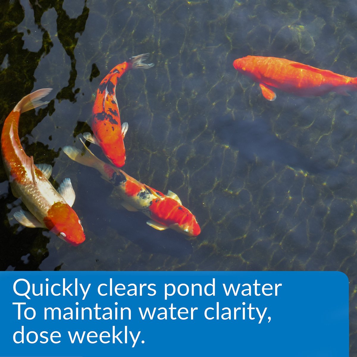 API Pond Accu-Clear Clarifier