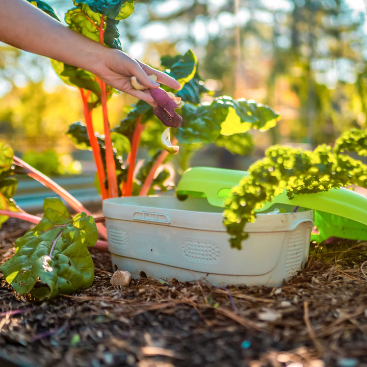 Vego Garden In-Ground Worm Composter