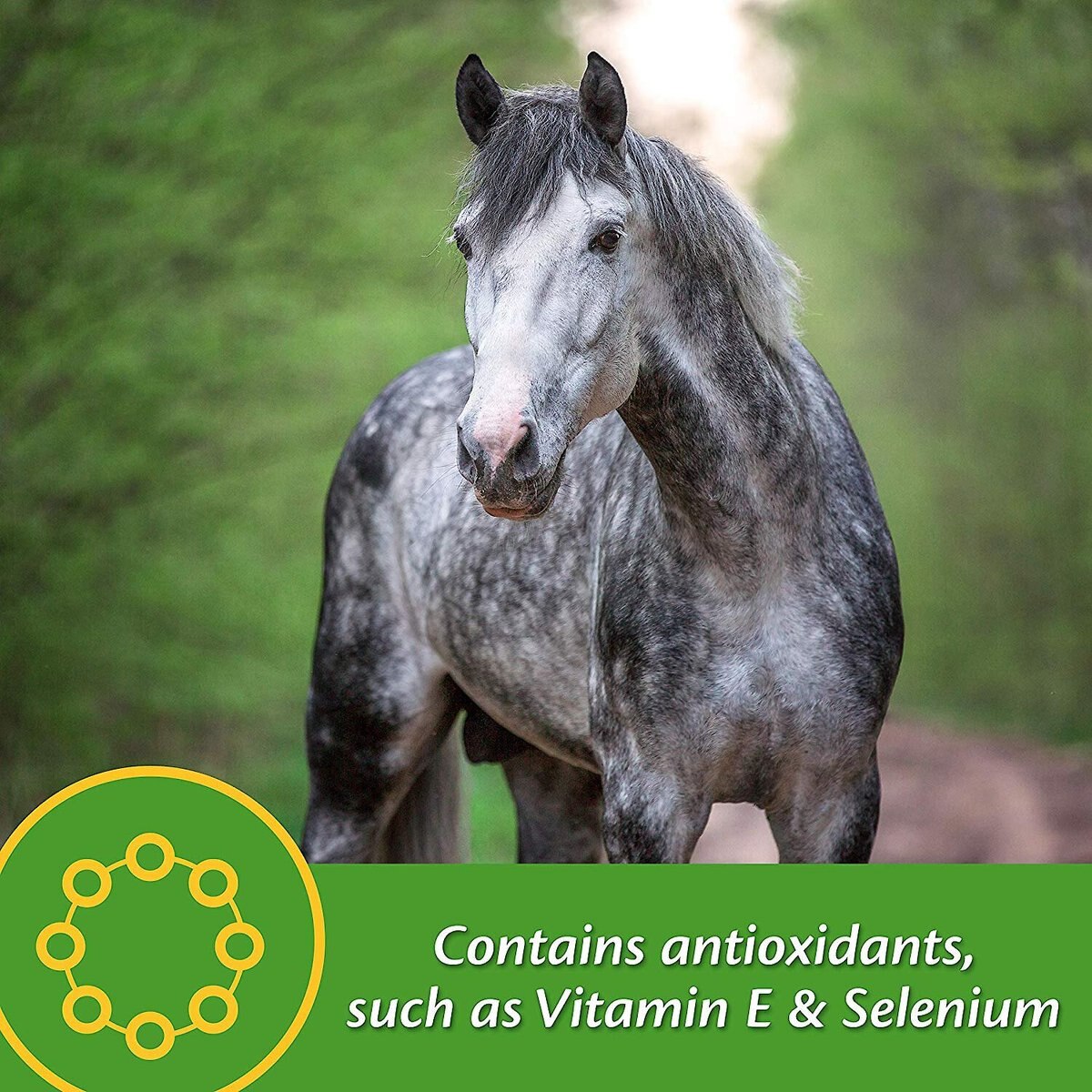 Farnam Vita Plus Balanced Multi-Vitamin and Mineral Pellets Horse Supplement