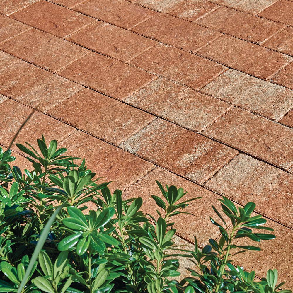 Pavestone Taverna 11.81 in. L x7.87 in. Wx 1.97 in. H Rectangle Milsap Blend Concrete Paver (192-Piece124 sq. ft.Pallet) 25378.MIB