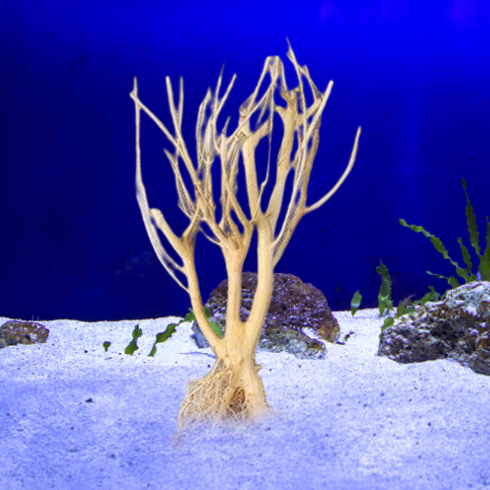 Aquatic Aquarium Driftwood Trunk Tree Plant Stump Fish Tank Ornament Wood Branches Landscaping Decoration Habitat Decor 25-30CM