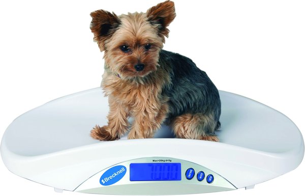 Brecknell MS15 Digital Pet Scale